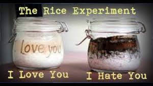 Het rijstexperiment van Masaru Emoto: hoe rijstpotjes er na 13 jaar uitzien